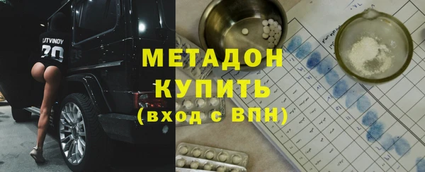 индика Козельск