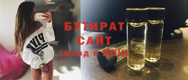 индика Козельск