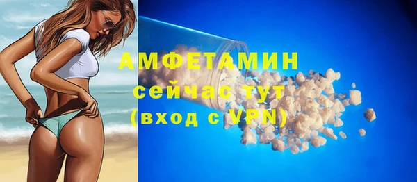 индика Козельск