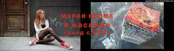 индика Козельск