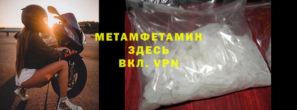 индика Козельск