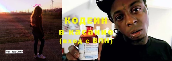 индика Козельск