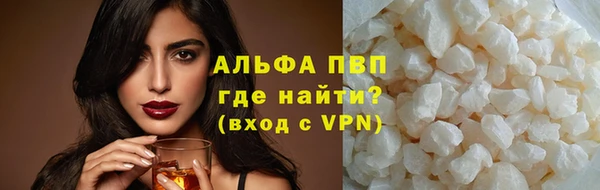 индика Козельск