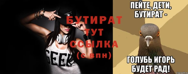 индика Козельск