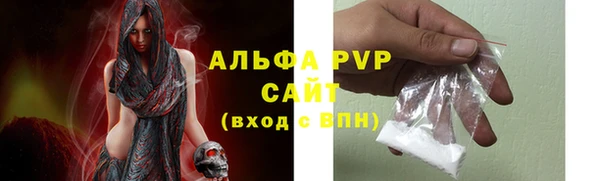 индика Козельск