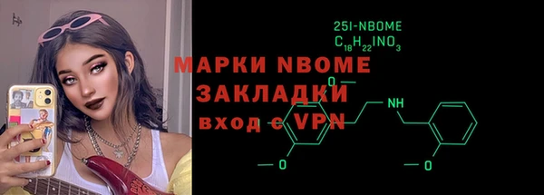 индика Козельск