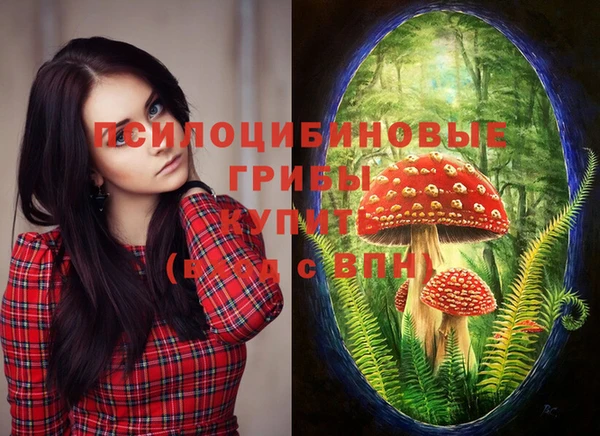 индика Козельск