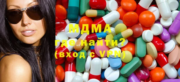 индика Козельск