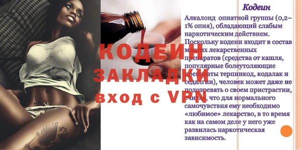 индика Козельск