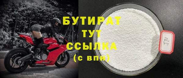 индика Козельск