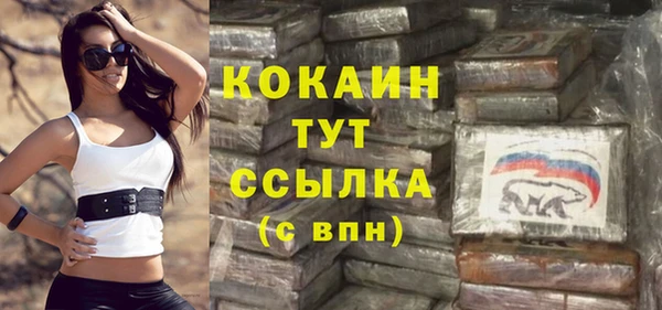 индика Козельск