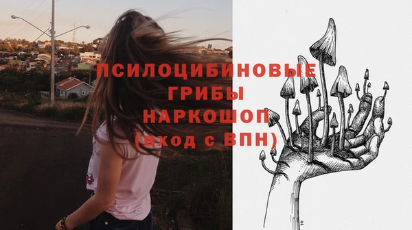 индика Козельск