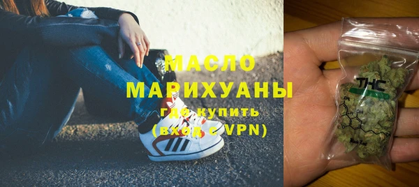 индика Козельск