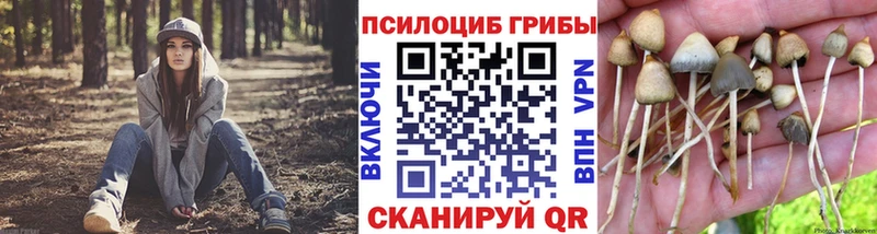 Псилоцибиновые грибы Cubensis  Купить  Лобня 